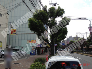 中央117：サンコート神戸元町（南京町）駐車場_03