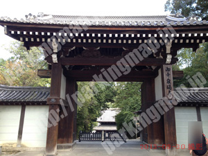 東山179：泉涌寺駐車場_04
