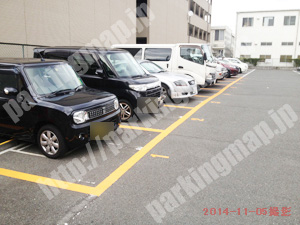 南196：フルーツパーク吉祥院這登西町_02