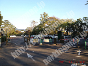 左京217：府立植物園駐車場_05