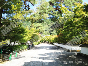 左京233：永観堂禅林寺駐車場_03