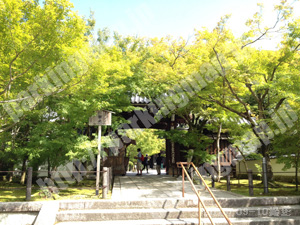 左京233：永観堂禅林寺駐車場_06