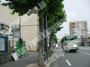 右京054：タイムズ西院乾町_03
