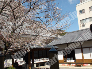 松山030：濱商坂の上パーク_06