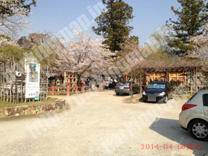 奈良096：奈良氷室神社参拝者専用駐車場_05