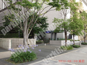 北323：中之島三井ビルディング駐車場_03