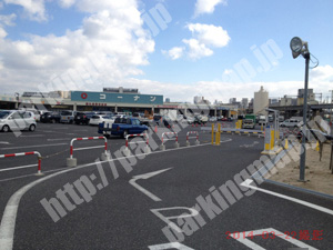 此花017：タイムズコーナン西九条春日出店_03