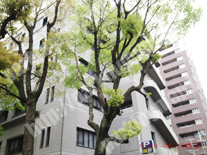 西314：西区役所来庁者駐車場_04