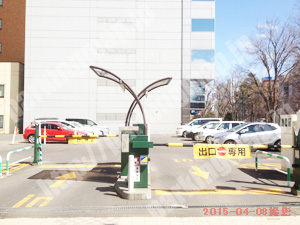 中央273：エナパーク大通西6丁目_02