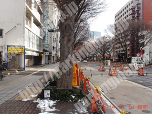 青葉206：パーキング青山西公園_04