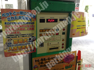 青葉268：ドン・キホーテ晩翠通り店駐車場_05