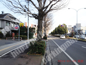 青葉458：タイムズ上杉_03