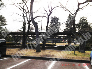 宮城野069：榴岡公園駐車場_05