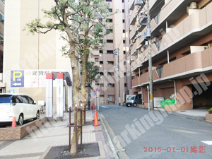 神奈川006：トラストパーク_05