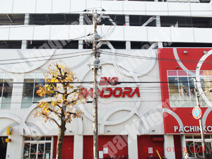 南069：BIGPANDORA井土ヶ谷専用駐車場_02